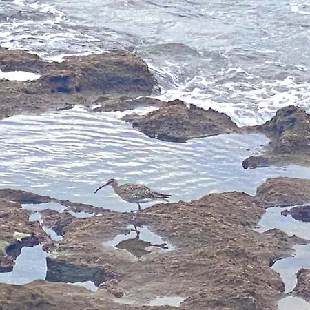 Tejita Sun Holidays By Deihu Experiences * La Tejita